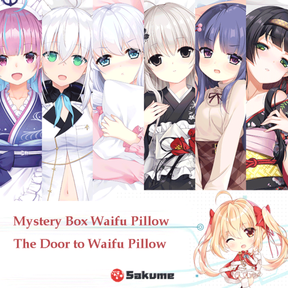Mystery Box Waifu Pillow Dakimakura