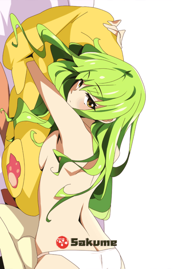 9322728 CC Anime Waifu Pillow Code Geass