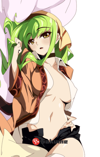 9322728 CC Anime Waifu Pillow Code Geass