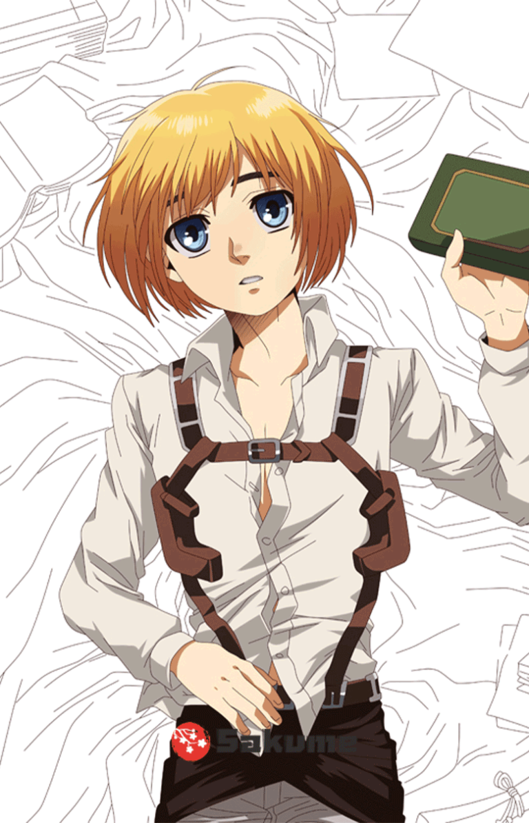 Buy Armin Arlert & Mikasa Ackerman Anime Body Pillow Cover Attack on