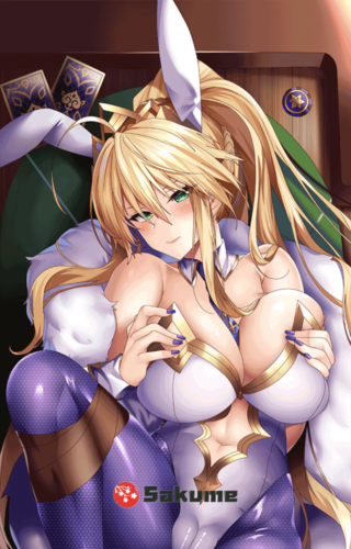 Sakume 9322815 Artoria Pendragon (Ruler) Body Pillow Cover | Fate Grand Order