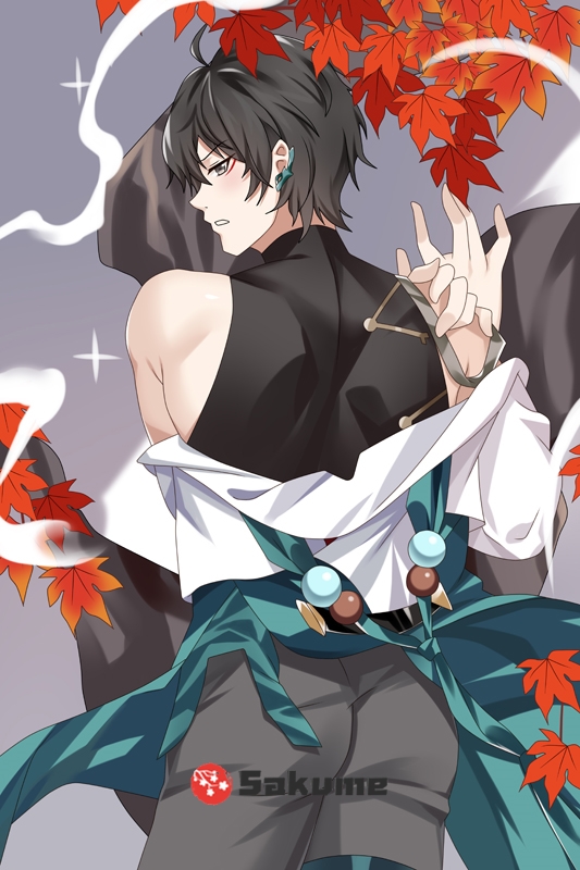 Sakume 9323823 Dan Heng Honkai Star Rail Waifu Pillow Dakimakura 1
