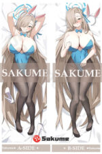 2481043 1 Ichinose Asuna Blue Archive