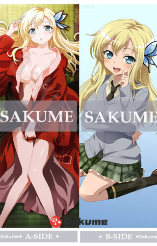 65079 Sena Kashiwazaki Boku wa Tomodachi ga Sukunai