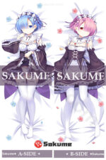 66051 Rem Re Zero