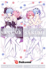 66087 Rem Re Zero