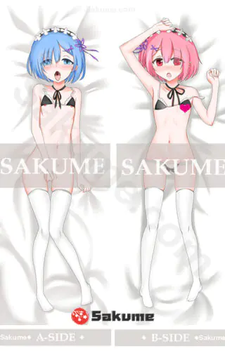 66091 Rem Re Zero
