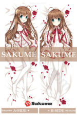68049 Kotori Kanbe Rewrite
