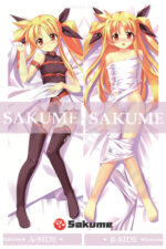4052 Fate Testarossa Magical Girl Lyrical Nanoha