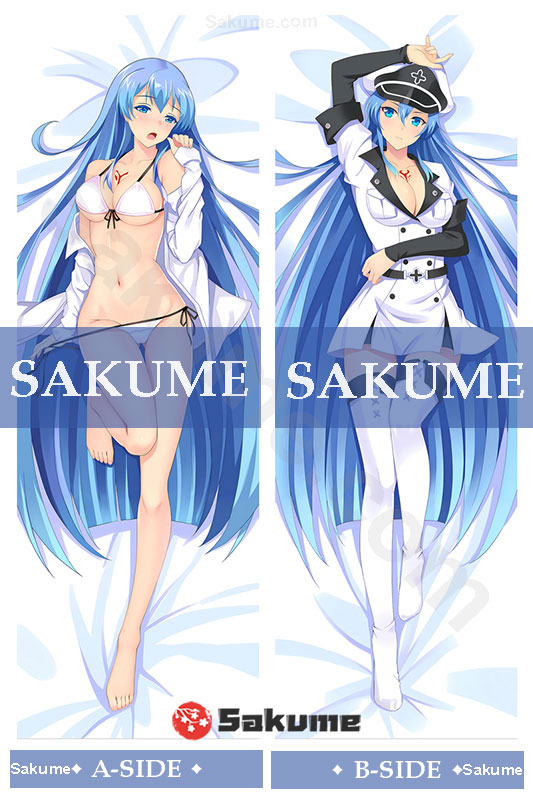 523008 Esdeath Akame Ga Kill