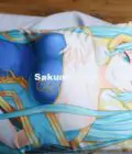 3D Dakimakura (5)